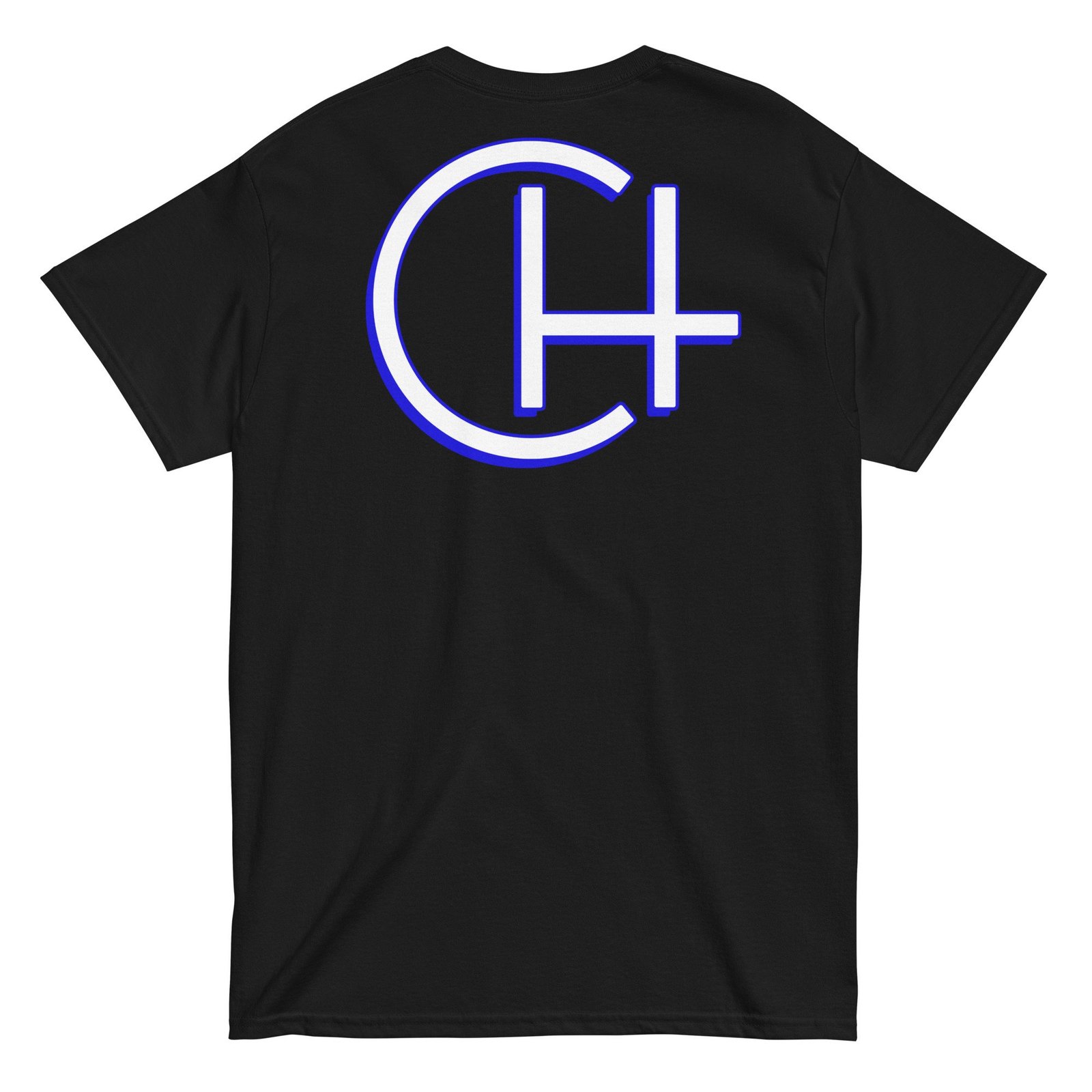 mens-classic-tee-black-back-657a1e54d05b1.jpg