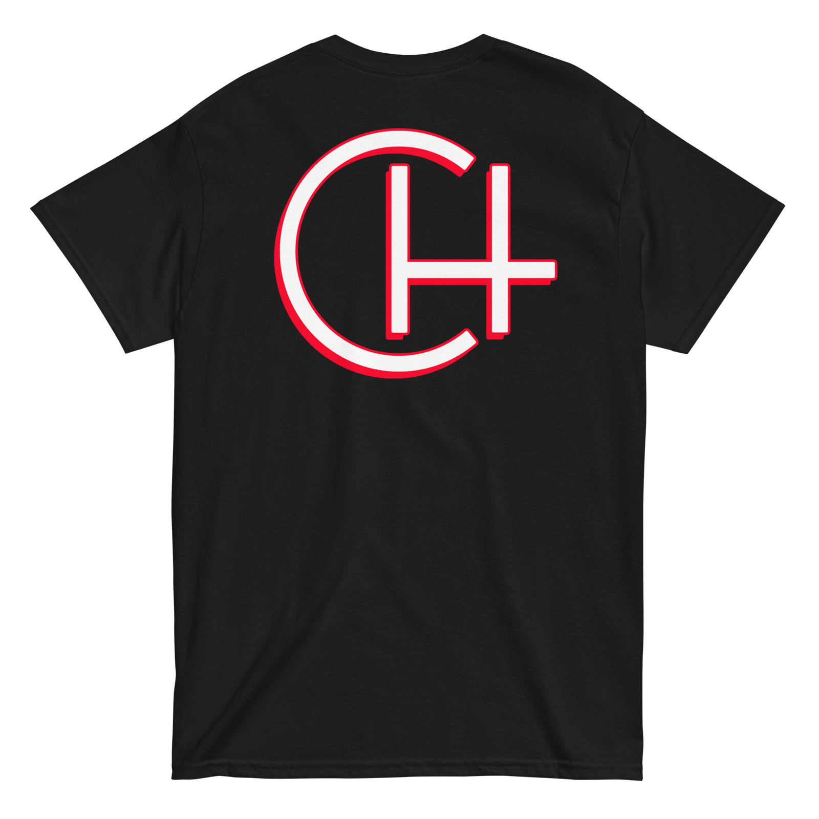 mens-classic-tee-black-back-657a1eaef106a.png